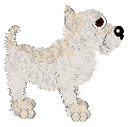 Ailsa of the Ocean at Andervale — “Ailsa”