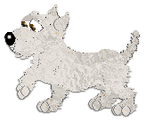 Profile image of Andervale Pristine Reflections