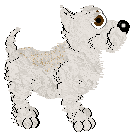 Andervale's White Sea Foam — “Isla”