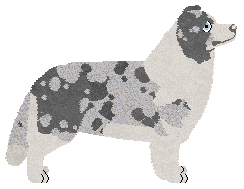 Wulver Fog from the Mountains — “Misty”