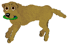 Silverfrost Christmas in the Swamp — “Nimble”