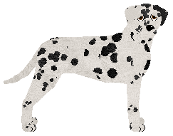 Profile image of Rosestone's Give Me The Award