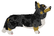 Rosestone's Hiding to Seek — “Seek”