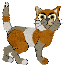 Lex's Cortège at Chachke — “Corteo”