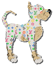 Profile image of Funfetti Speedy Bandoulière