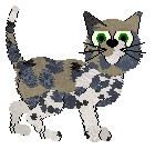 Starfrost's Cookie Crunch at Chachke — “Twix”