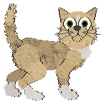 Ferality's Jig Is Up @ Mockingbird — “Pharmacist”