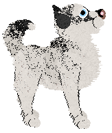 Cargo's Biting Winds — “Fang”