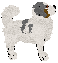 BFK's Sweetest Kiss — “Boca”