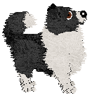 PD's Sky Flight — “Booster”