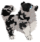 PD's My Favourite Dolly — “Doll”