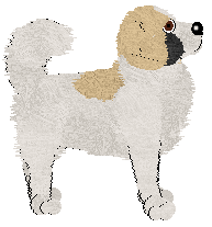 BFK's Elegant Evening — “Elle”