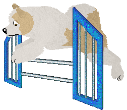 Monkshood Star Jessamine — “Malia”