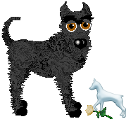 Profile image of EC's Enchanting Sleepwalker