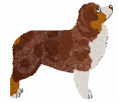 Paragon/Rodeo's Living On a Prayer — “Nate”