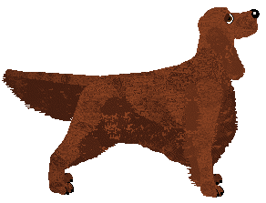 Rosestone's Into The Midnight Sun — “Dignity”