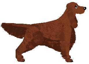 Rosestone's Shake That Booty — “Wiggle”