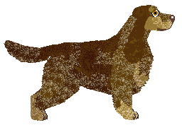 Dalheaf Wood She — “Paykel”