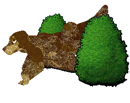 Dalheaf Wood She — “Paykel”