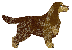 Dalheaf Wood She — “Paykel”