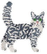 Fire's Slow N Low — “Bayou”