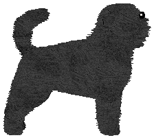 Profile image of Gemstone Informal Gathering