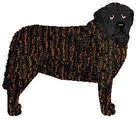 Profile image of Specific Gravity Aubz Wishmas 2019