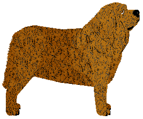 Specific Gravity I Am The Walrus — “Eggman”