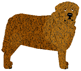 Profile image of Specific Gravity I Am The Walrus