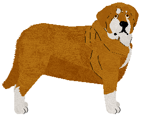 Profile image of Specific Gravity Hey Jude