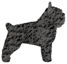 Profile image of Gemstone Highly Attractive