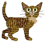 Sierpiński's Imperfections Persist at Cymophane — “Lo-Fi”