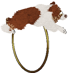 Crystal Rose's Plexippus at Come Bye — “Monarch”