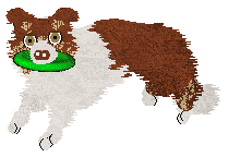 Crystal Rose's Plexippus at Come Bye — “Monarch”