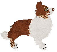 Crystal Rose's Plexippus at Come Bye — “Monarch”