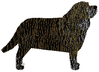 Specific Gravity Penny Lane — “Penny”