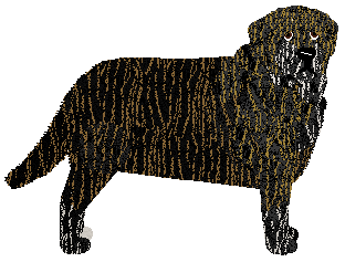 Profile image of Specific Gravity Penny Lane