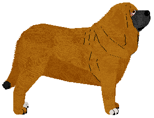 Specific Gravity Ruby Baby — “Ruby”