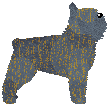 Profile image of Gemstone Language Union