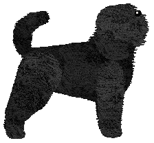 Myriad Whirling Vortex — “Tajfun”