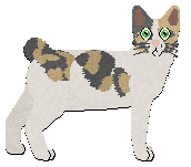 Profile image of Beetlebum Down the Rabbit Hole