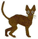 Starling Would That I Could — “Jasper”