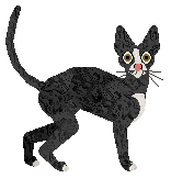 Starling Swan Upon Leda — “Leda”