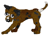 Bec's Rodeo Reckoning @ Mockingbird — “Bronc”