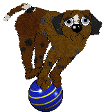 Bec's Rodeo Reckoning @ Mockingbird — “Bronc”