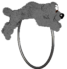 Shipwreck's All Washed Up at Mythic Silence — “Rag”