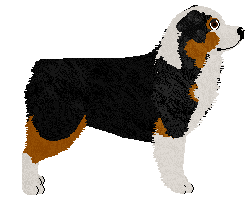 Paragon Ballad of the Boy — “Elton”