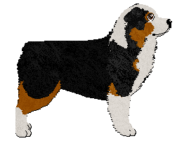 Profile image of Paragon Ballad of the Boy