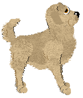 BFK's The First of Many — “Casey”