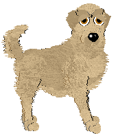 BFK's The First of Many — “Casey”